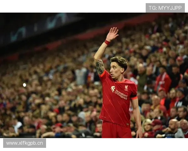 从佩纳罗尔到本菲卡再到英超焦点：努涅斯职业生涯全景复盘