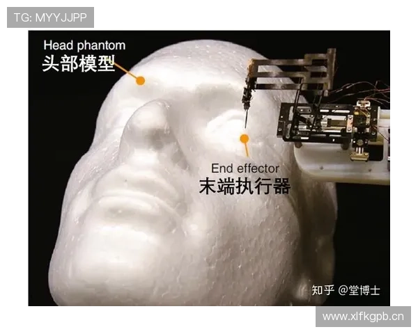 篮球规则中身体接触判罚的基本界定标准与具体执行尺度解析